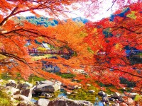 行楽シーズン到来!秋に写真撮影に出掛けたいスポット7選