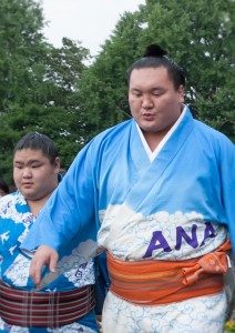 2017年大相撲名古屋場所