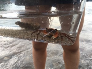 キャンプ☆