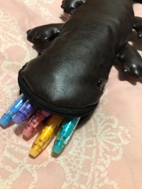 両生類パラダイス♪