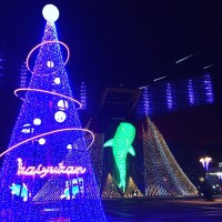 好きやねん大阪