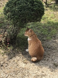 入学式