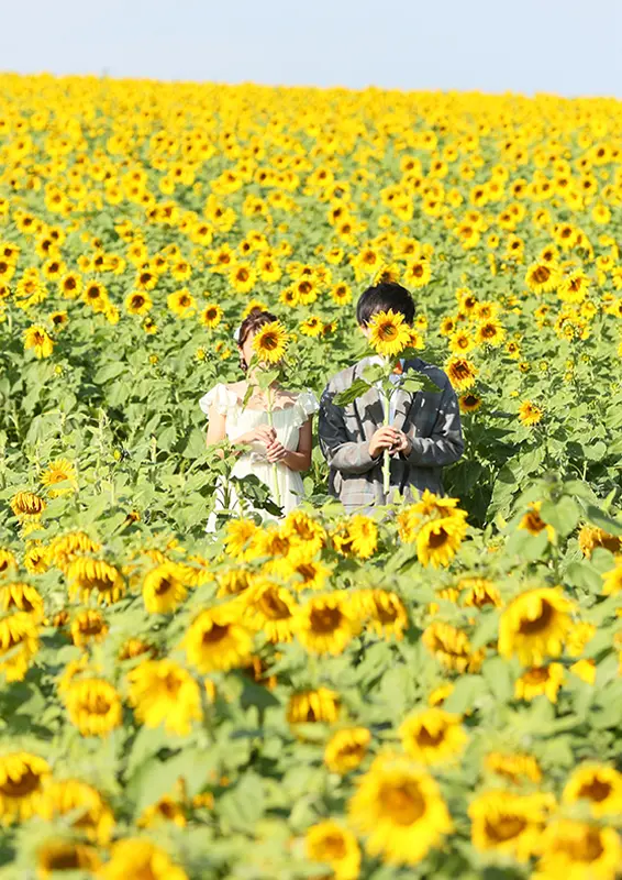 観光農園花ひろば