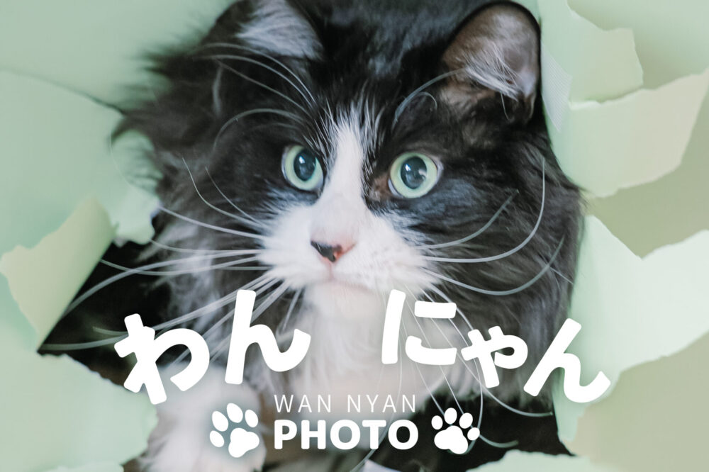 創寫舘（そうしゃかん）