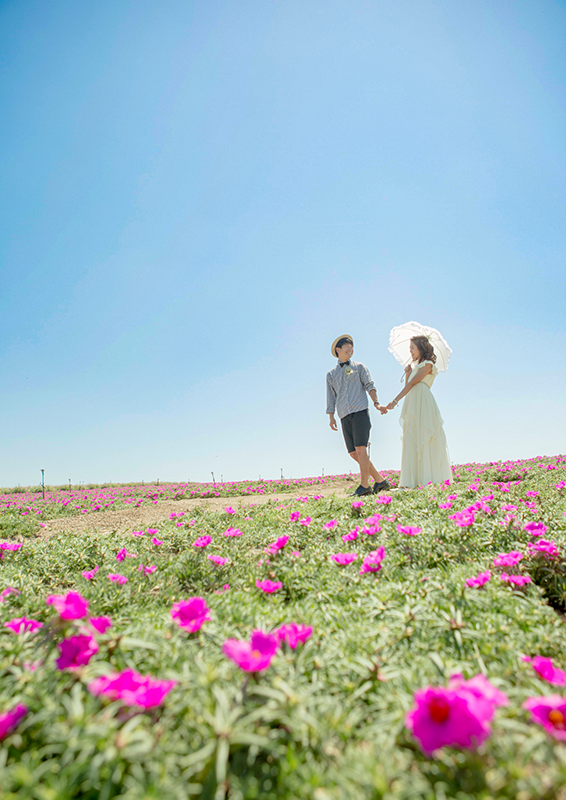 「観光農園花ひろば」愛知県南知多町でフォトウェディング(結婚式前撮り)