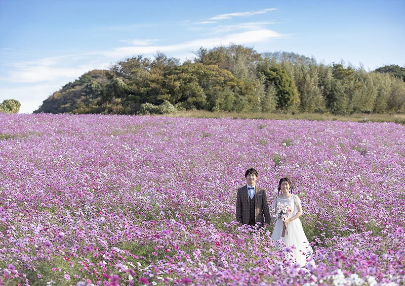 「観光農園花ひろば」愛知県南知多町でフォトウェディング(結婚式前撮り)