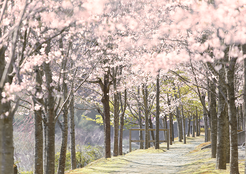 創寫舘（そうしゃかん）