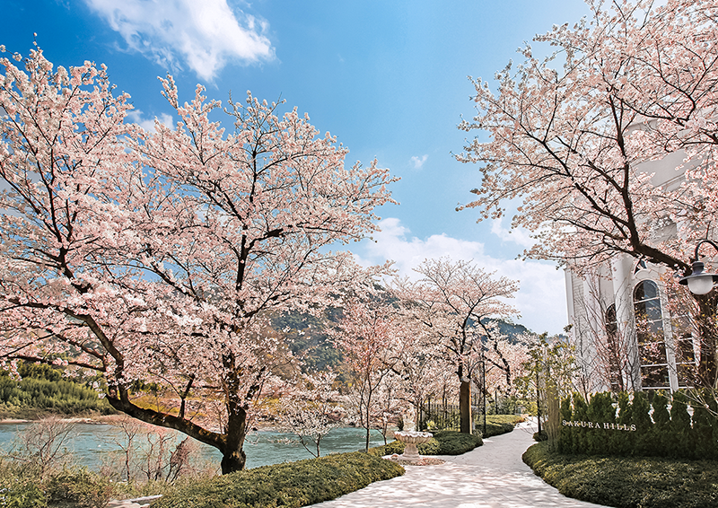 サクラヒルズ創寫舘