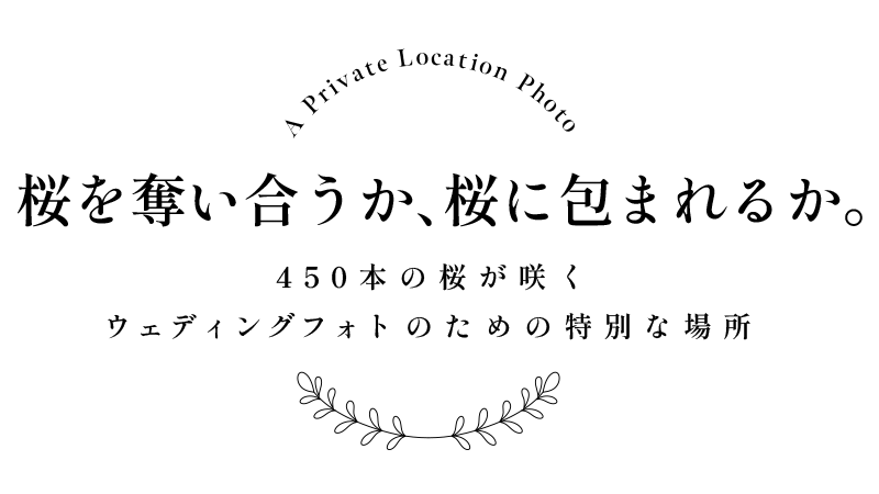 桜を奪い合うか、桜に包まれるか。