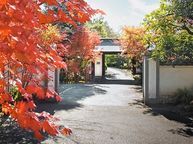 各務原・サクラヒルズの紅葉ロケーション